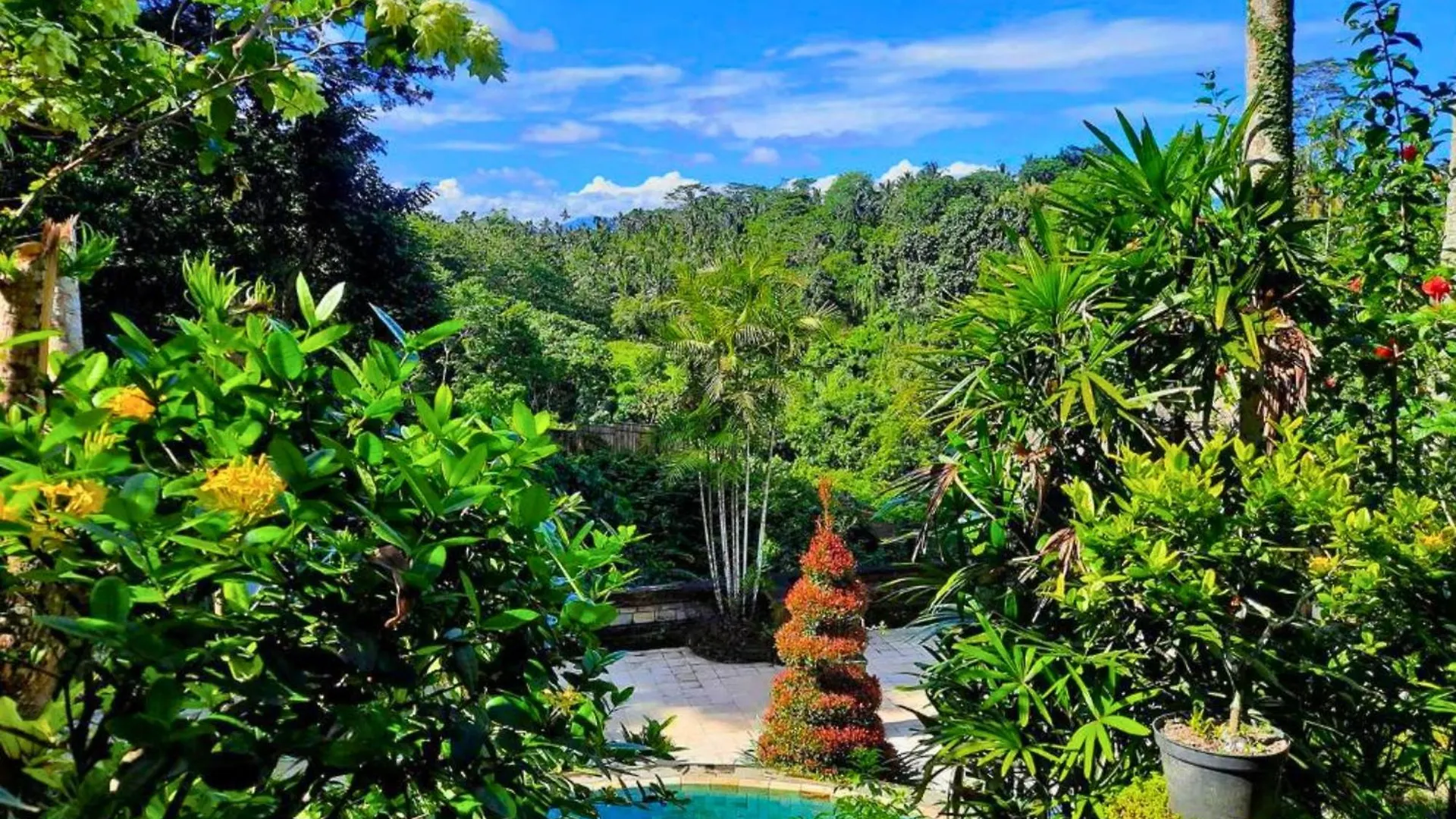 Apartment Punita 1 Bedroom Grand Deluxe Garden Zn237 Ubud